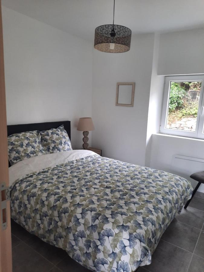 Chez Line Et Pierre: Appartement Spacieux, Lumineux Et Equipe La Bastide-de-Serou Ngoại thất bức ảnh